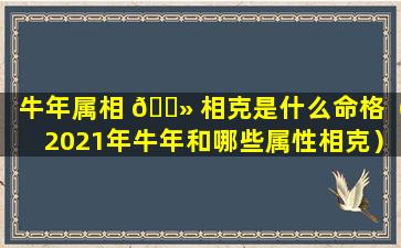 牛年属相 🌻 相克是什么命格（2021年牛年和哪些属性相克）